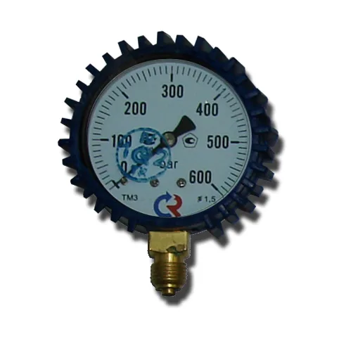 Манометр в защитном чехле 0-600 Bar 1/4"