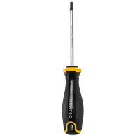 Отвёртка TORX T25x100 мм, S2 Runtec