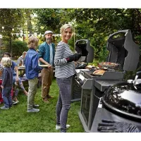 Гриль газовый Spirit E-320 Original GBS, черный Weber 46613675