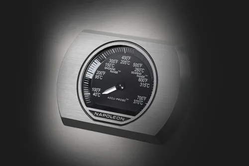 Газовый гриль ROGUE R525XT 6