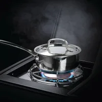 Газовый гриль ROGUE-425 SB
