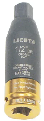 Ограничитель крутящего момента 100Нм Licota PAW-TL4-4