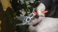 Секатор BERGER