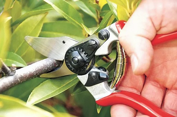 Секатор FELCO 6