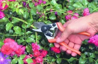 Секатор FELCO 6