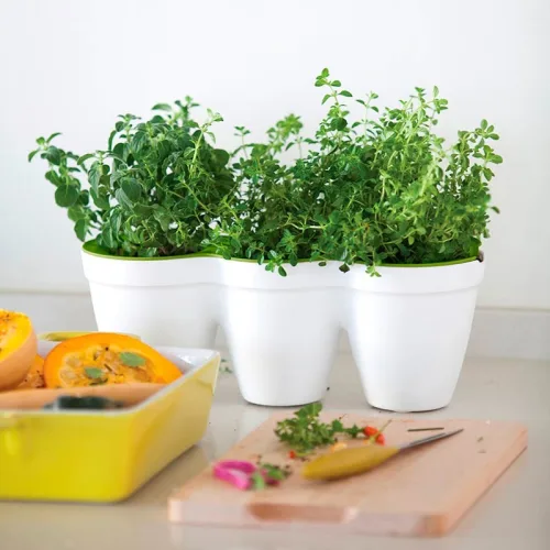 Кашпо Ivy Herbs 2