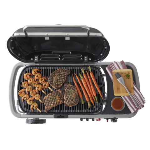 Газовый гриль Weber Traveler 5