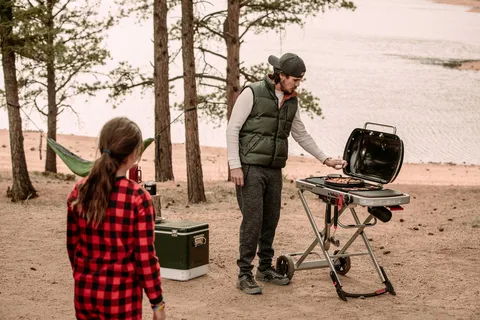 Газовый гриль Weber Traveler 9