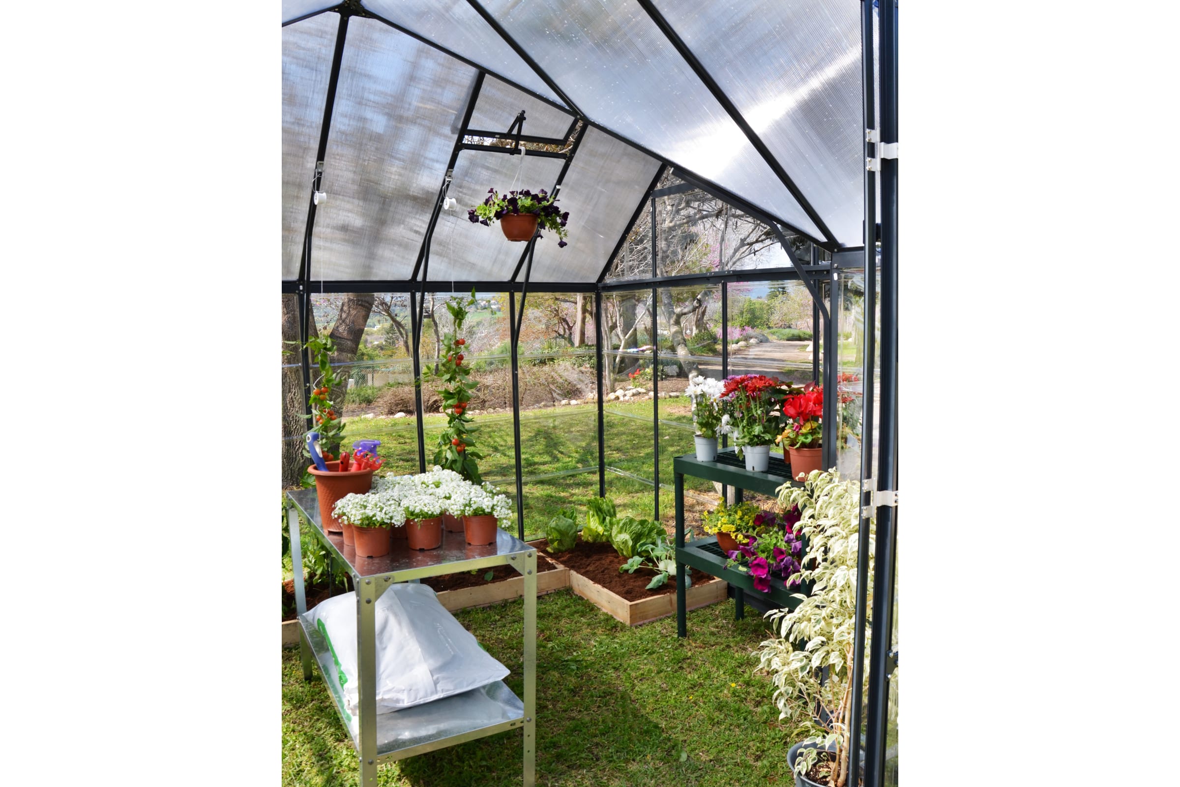 Теплица с прозрачным остеклением Palram VICTORY ORANGERY GARDEN CHALET 5