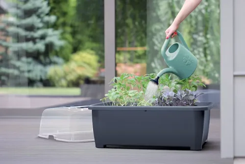 Кашпо-теплица RESPANA PLANTER SET 5