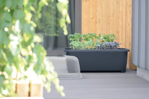 Кашпо-теплица RESPANA PLANTER SET 6
