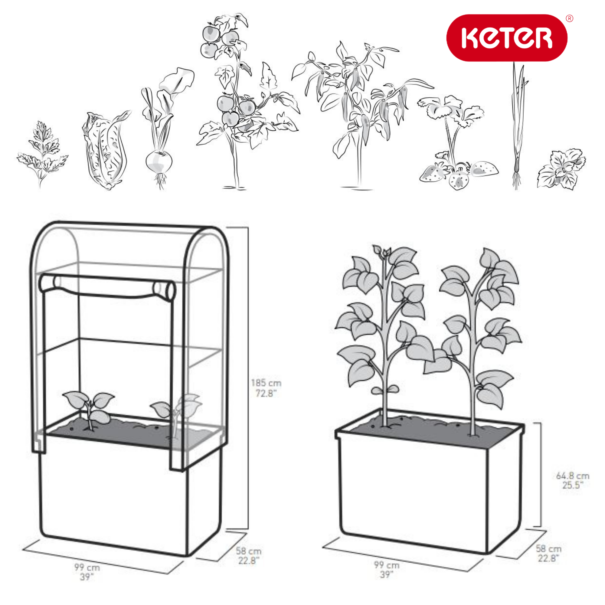 Грядка-теплица для растений MAPLE GREEN HOUSE (Коричневая) 4