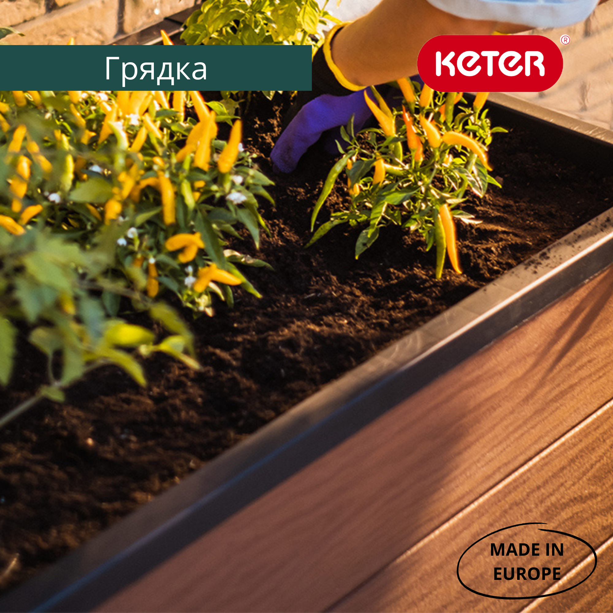 Грядка-теплица для растений MAPLE GREEN HOUSE (Коричневая) 11
