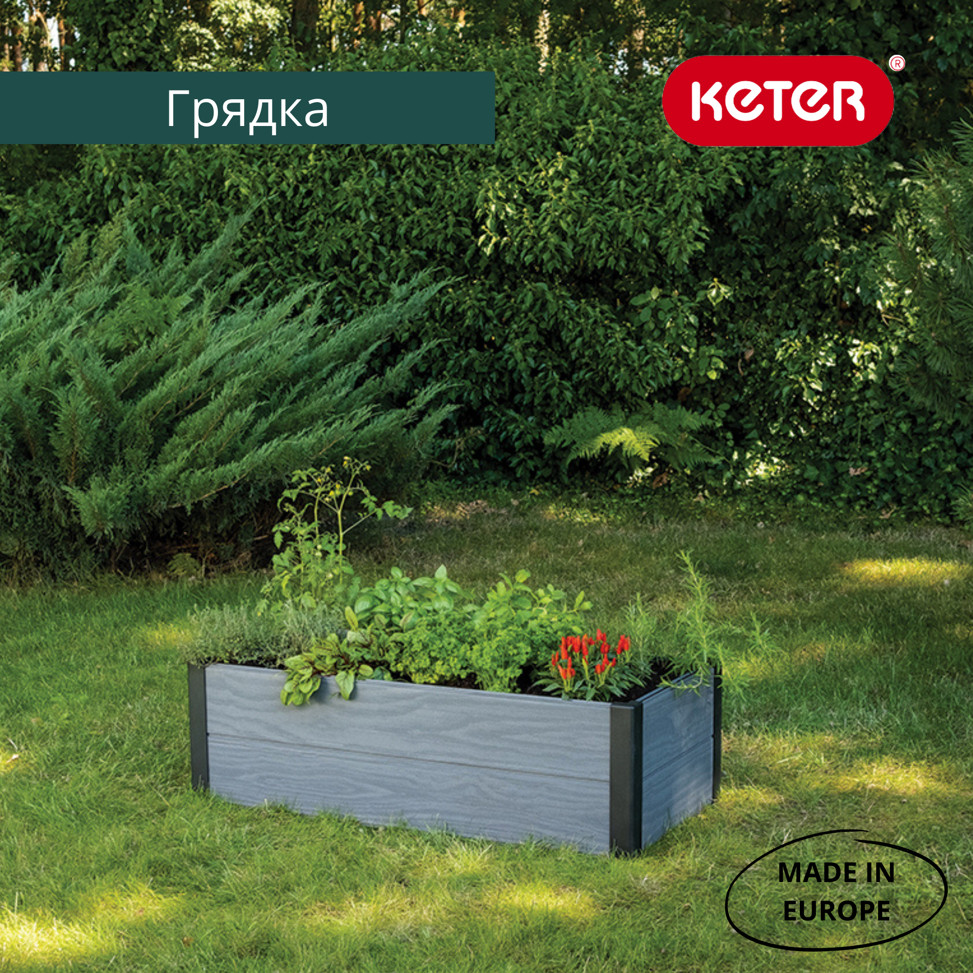 Кашпо-Грядка для растений MAPLE TROUGH (Графит) 5