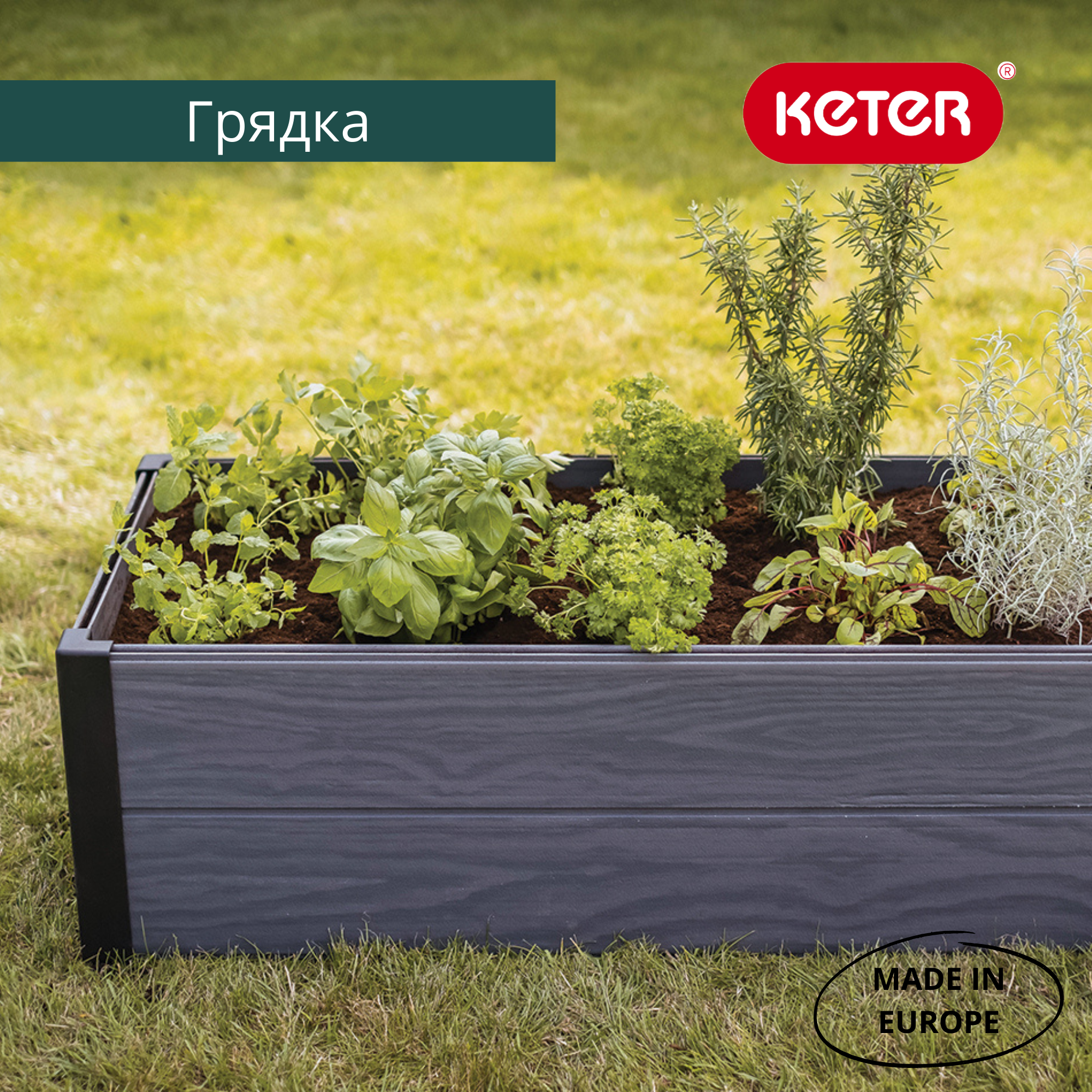Кашпо-Грядка для растений MAPLE TROUGH (Графит) 6