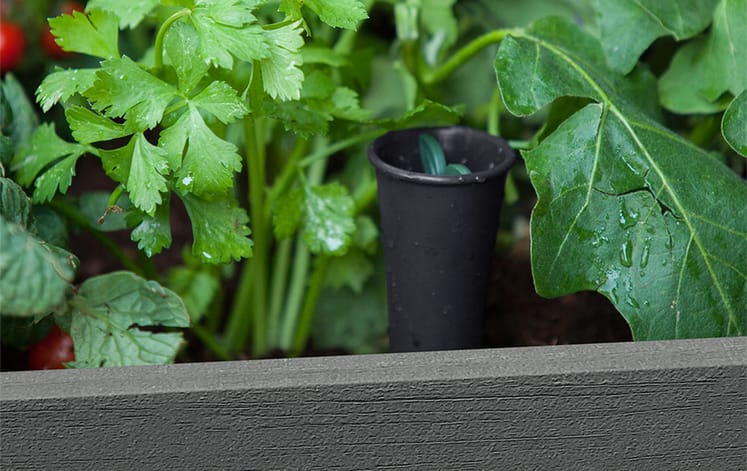 Грядка для растений DARWIN ELEVATED GARDEN BED PRO (Графит)