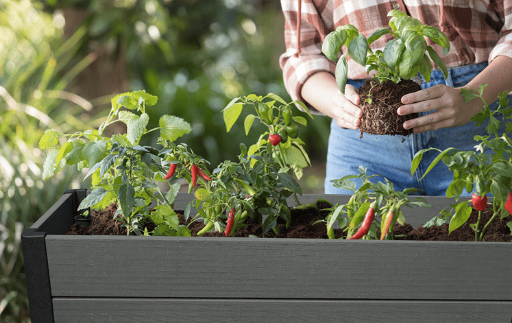 Грядка для растений DARWIN ELEVATED GARDEN BED PRO (Графит)