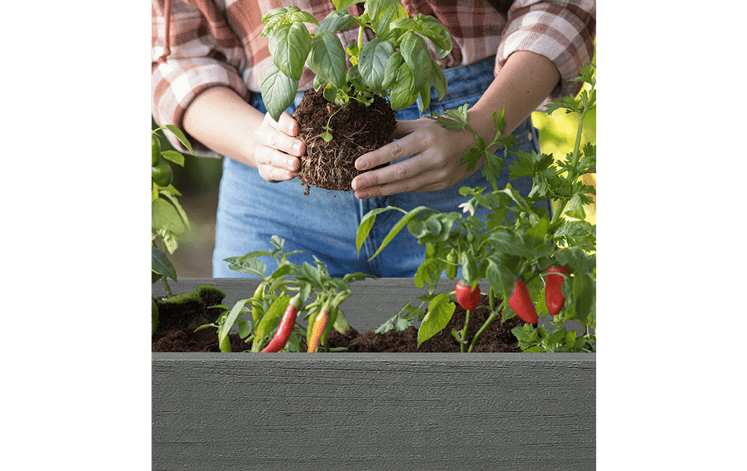 Грядка для растений DARWIN ELEVATED GARDEN BED PRO (Графит)